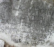 Sula Virginia Fender