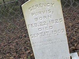 Surency Purvis