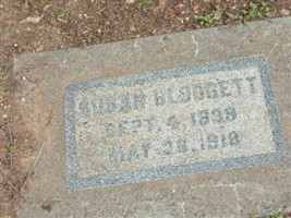 Susan Blodgett Susan Blodgett