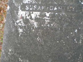 Susan Cantey Flud