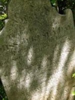 Susan Caroline Belcher