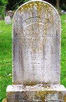 Susan Conklin Susan Conklin