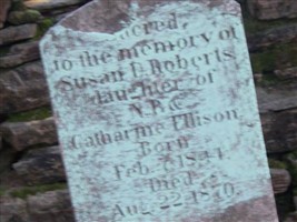 Susan D. Ellison Roberts