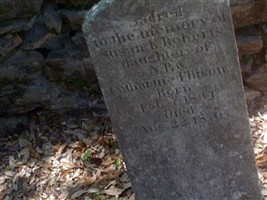 Susan D. Ellison Roberts