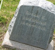Susan E Chewning Susan E Chewning