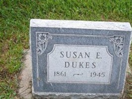 Susan E Dukes