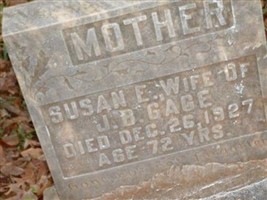 Susan E Gage