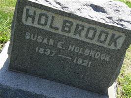 Susan E Holbrook