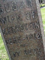 Susan Eckstein Susan Eckstein