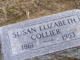 Susan Elizabeth Collier Susan Elizabeth Collier