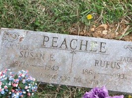 Susan Ellis Brandon Peachee