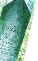 Susan Ford Summers Susan Ford Summers