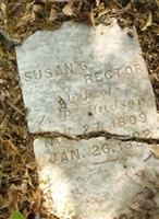 Susan G Rector Hudson Susan G Rector Hudson