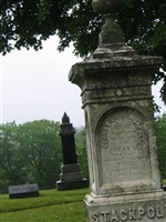Susan G Stackpole