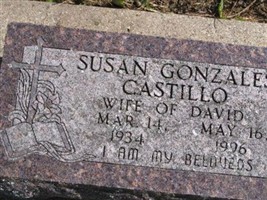 Susan Gonzales Castillo