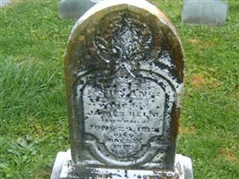 Susan Helm