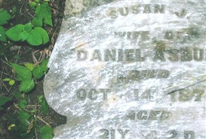 Susan J Asbury