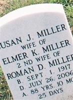 Susan J Miller