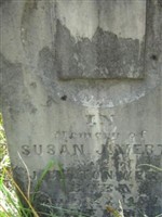 Susan J. Werts