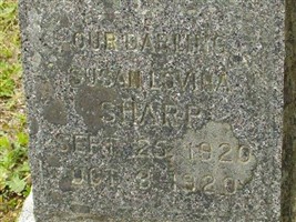 Susan Lovina Sharp Susan Lovina Sharp