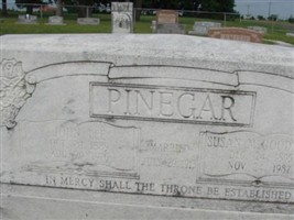 Susan M Goodman Pinegar