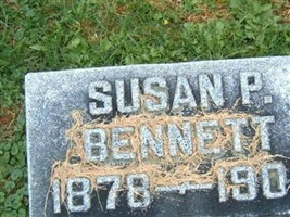 Susan P Bennett