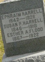 Susan P Harrell Susan P Harrell