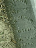 Susan Springer