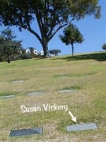 Susan Vickery Susan Vickery