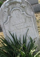 Susana Rumbaugh