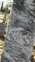 Susana Shubrick Hayne Pinckney Susana Shubrick Hayne Pinckney