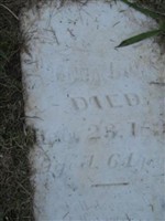 Susanna Bowers Susanna Bowers