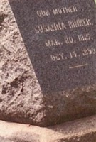 Susanna Johnson Rinker