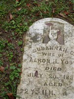 Susannah C Yost