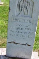 Susannah Canine