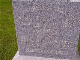 Susannah Ledgerwood Willis