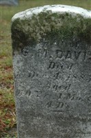Susannah M Davis
