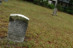 Susannah M Davis