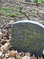 Susannah P Davis