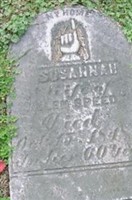 Susannah Speedy
