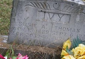 Susie A Ivy Susie A Ivy