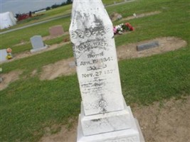 Susie A B Walton