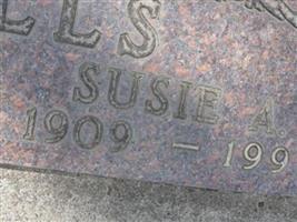 Susie Anna Wells Hughes