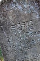 Susie Downs