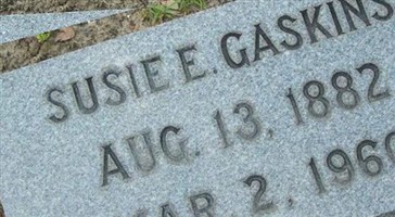 Susie E Gaskins