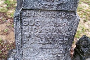 Susie Hickson