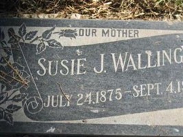 Susie J Walling Susie J Walling