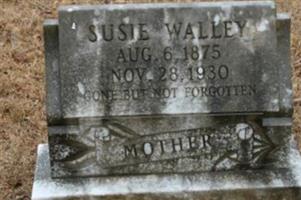 Susie Johnson Walley