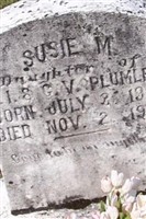 Susie M Plumley