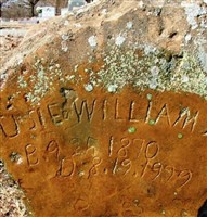Susie Mae Walters Williams